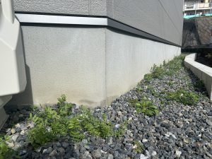 家デコモデルハウス「皆賀の家」の草抜き前の様子