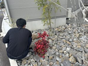 家デコモデルハウス「皆賀の家」の植栽まわりの草抜きの様子
