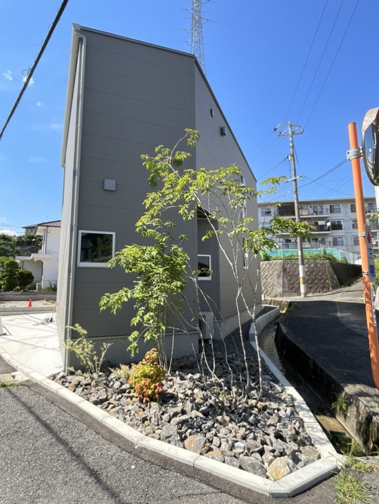 現在の植栽の様子