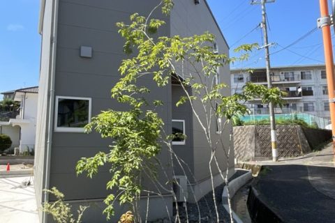 現在の植栽の様子