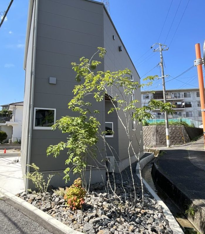 現在の植栽の様子